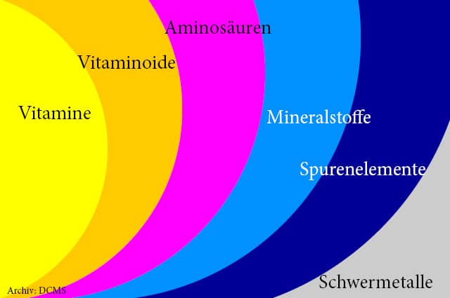 DCMS Laborleistungen