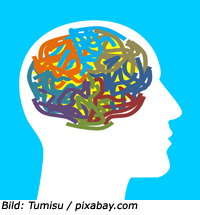 Biochemische Veränderungen im Gehirn bei ADHS